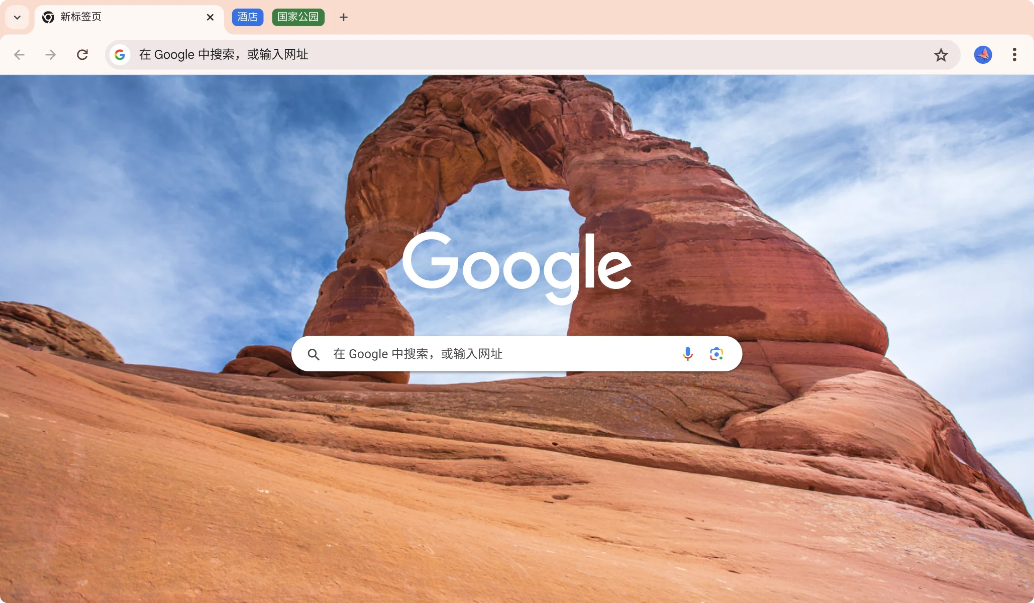 Chrome Desktop Browser View